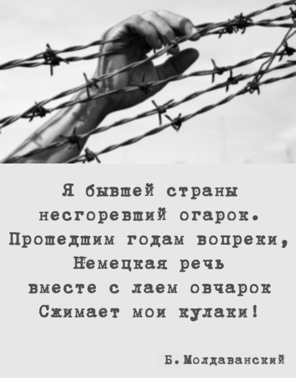 Политические картинки - 3290 Политические картинки - 3290