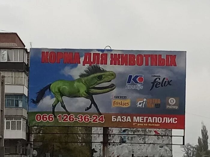 13. Корма для животных