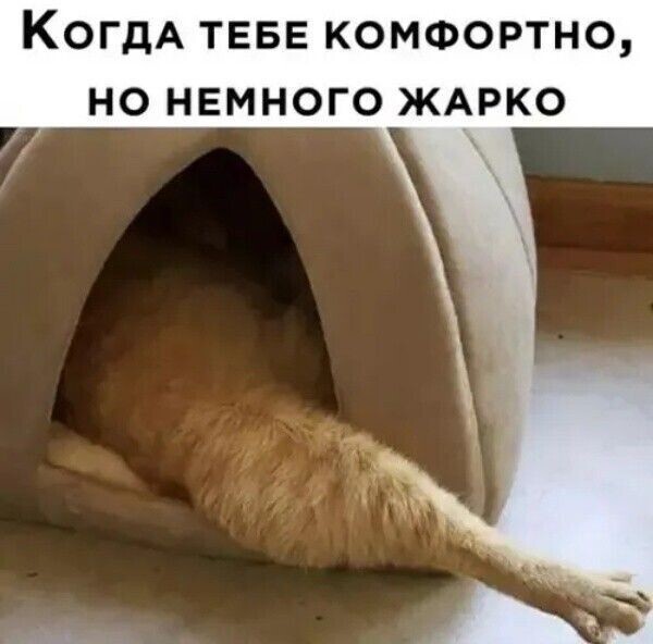 Просто всячина в выходной