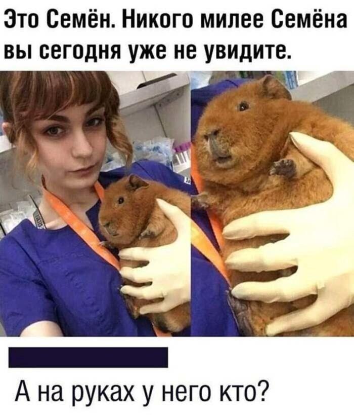 Просто всячина в выходной