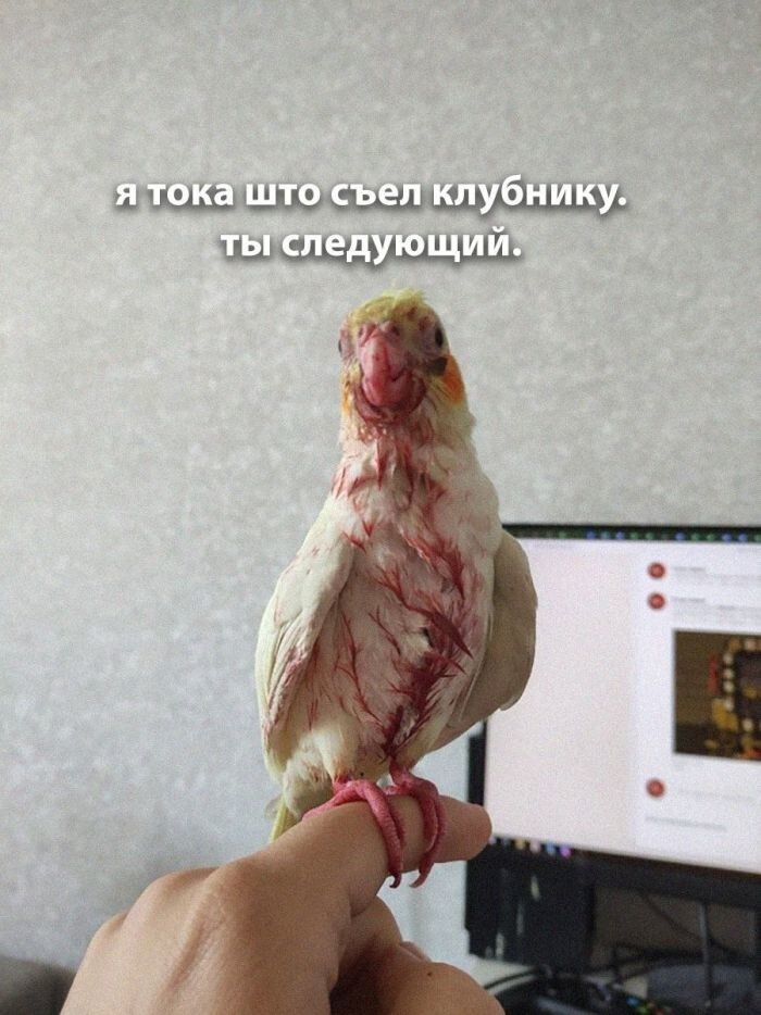 Просто всячина в выходной