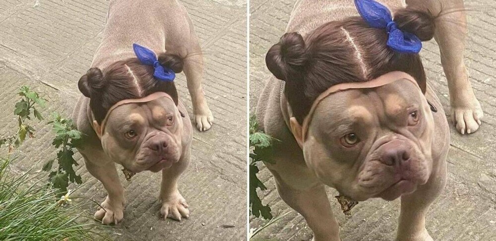 На общую тему 