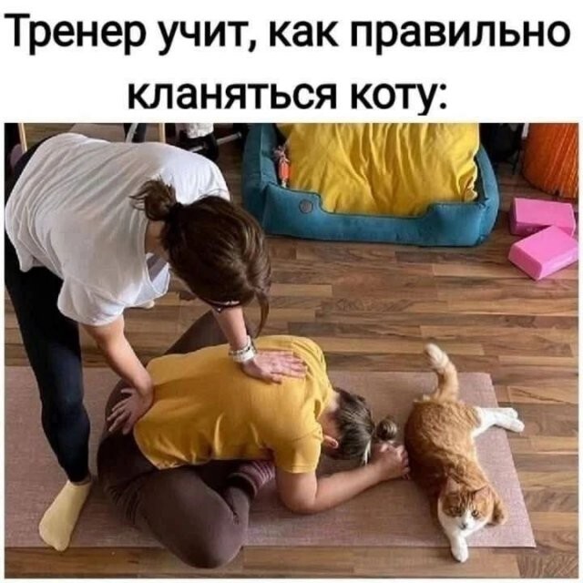 Скрины из соцсетей