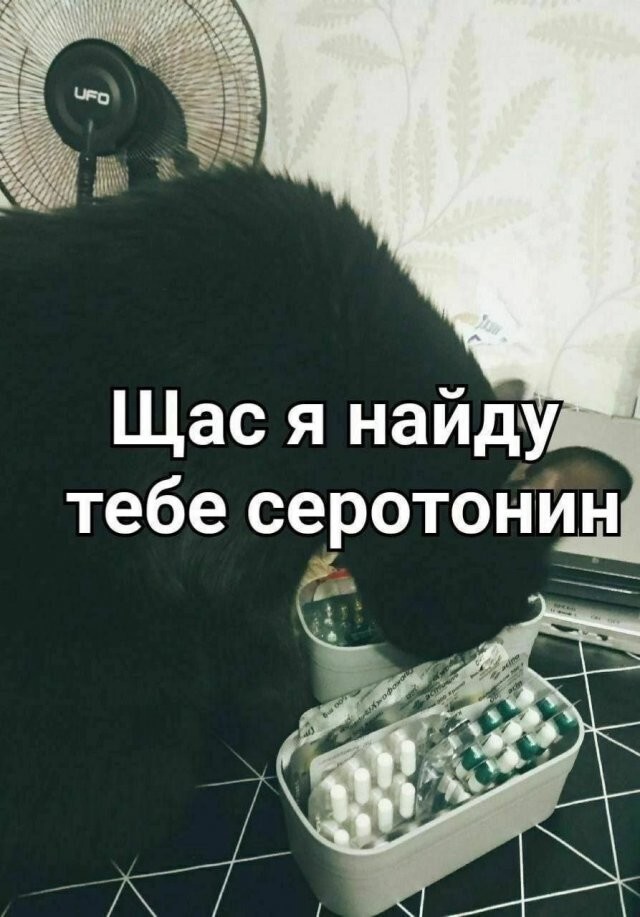 Скрины из соцсетей
