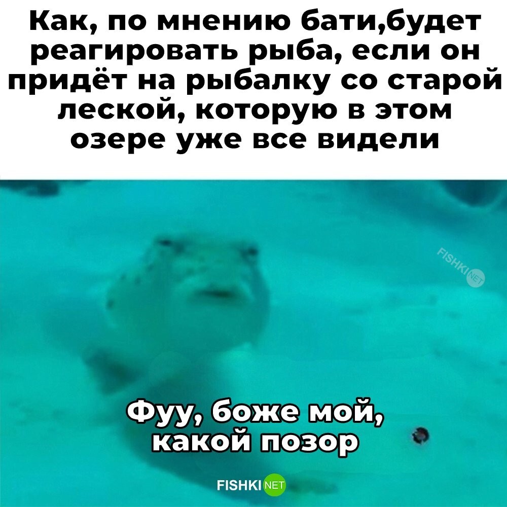Скрины из соцсетей