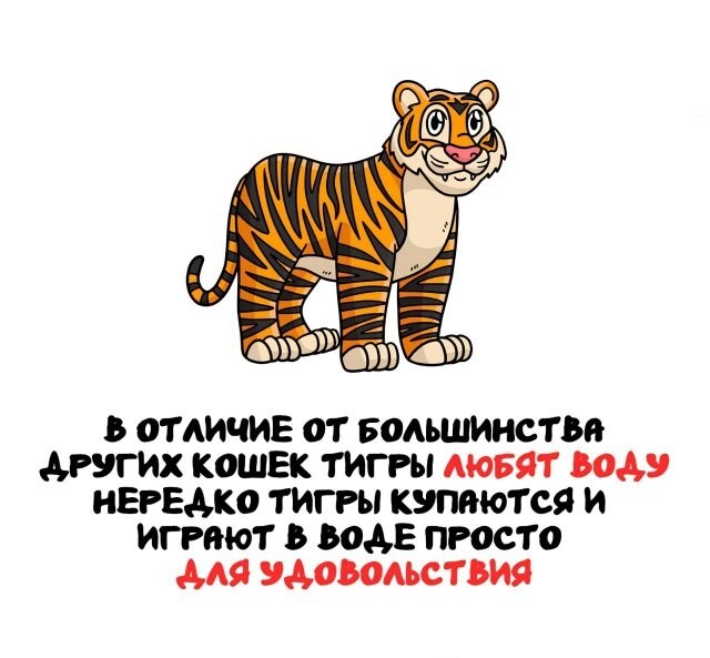 А вдруг ты не знал…