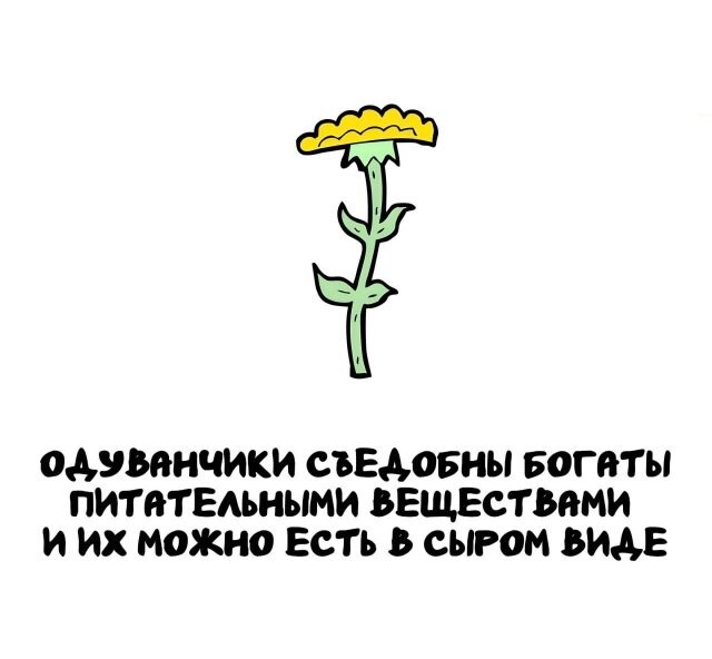 А вдруг ты не знал…