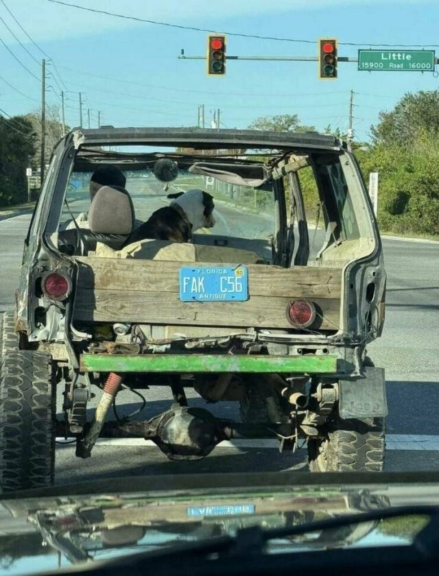 Намешалось