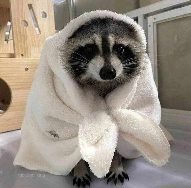 Намешалось