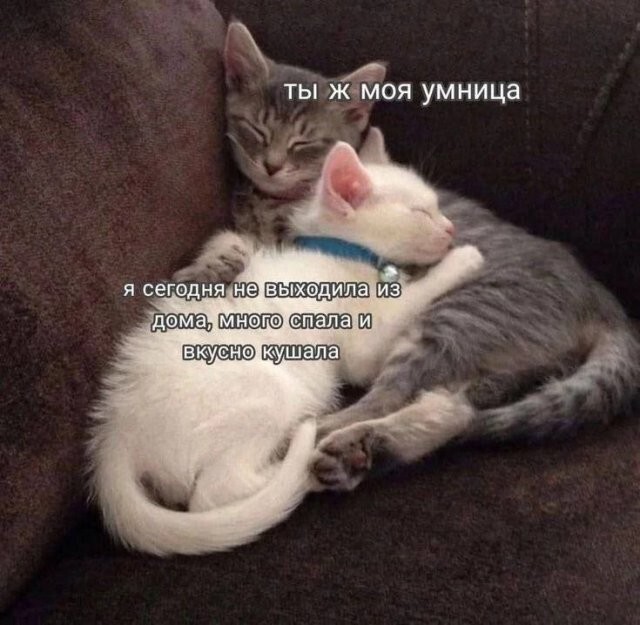 Не ищите здесь смысл. Здесь в основном маразм