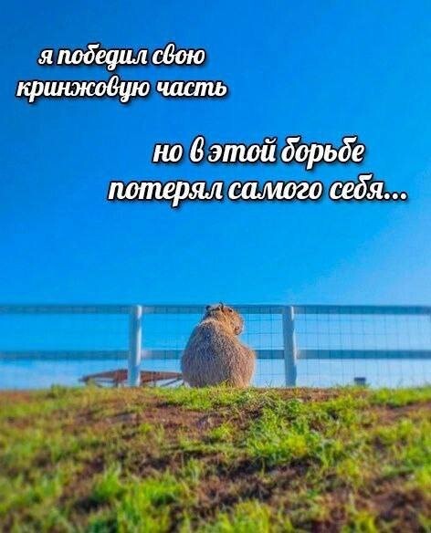 Не ищите здесь смысл. Здесь в основном маразм