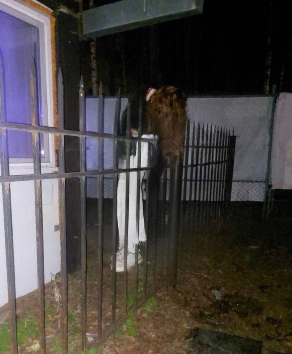 Ничего страшного