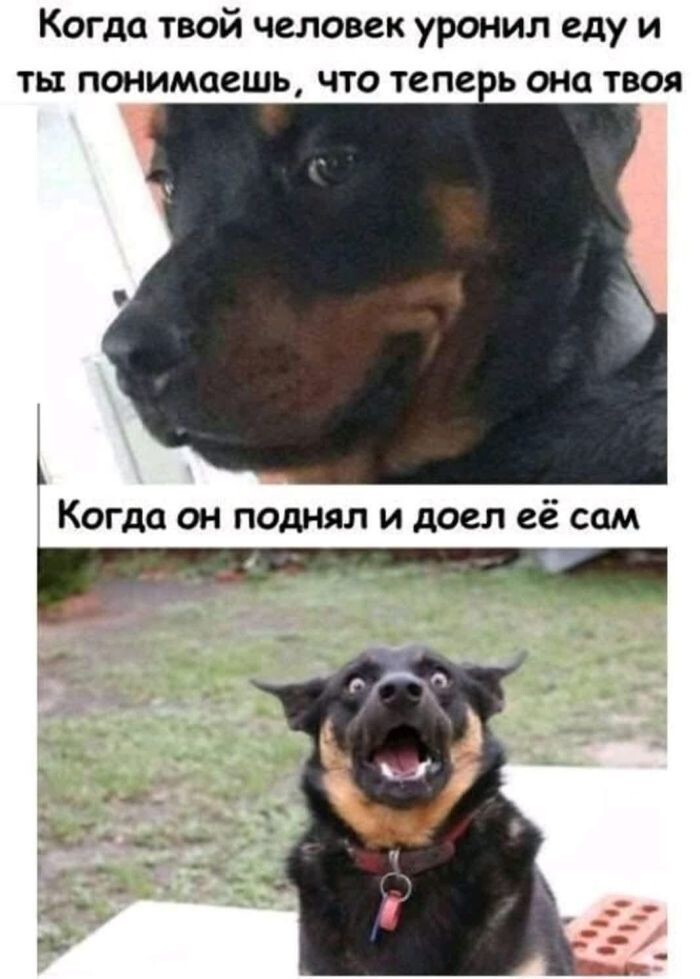 Всяко-разно в понедельник