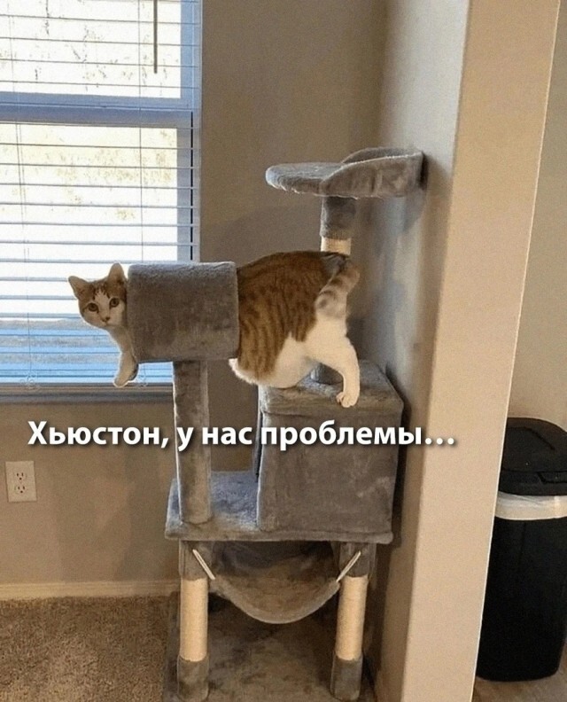 Всяко-разно в понедельник