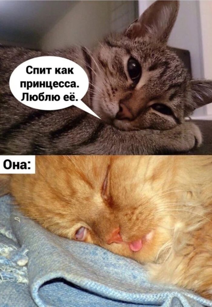 Всяко-разно в понедельник