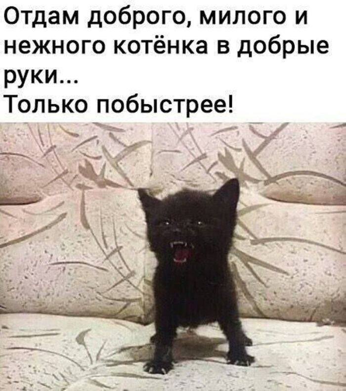Всяко-разно в понедельник
