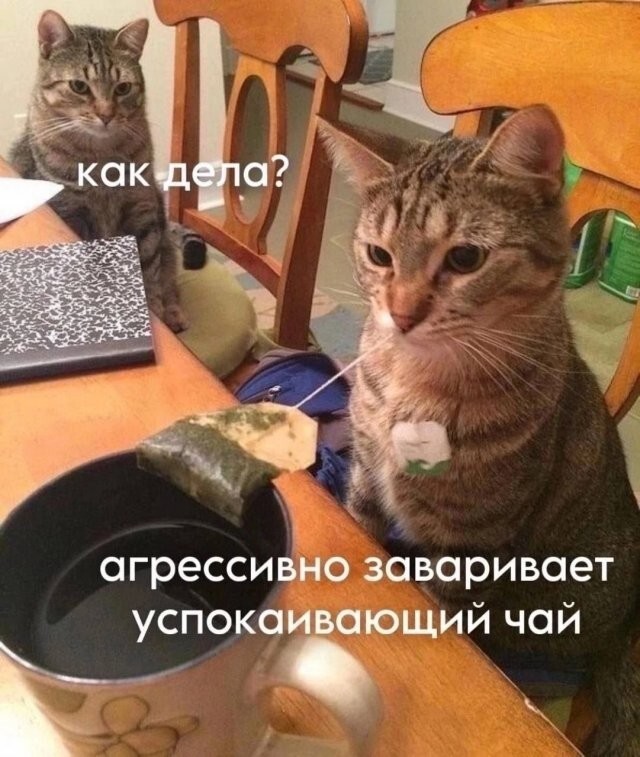 Скрины из соцсетей