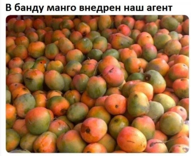 Скрины из соцсетей