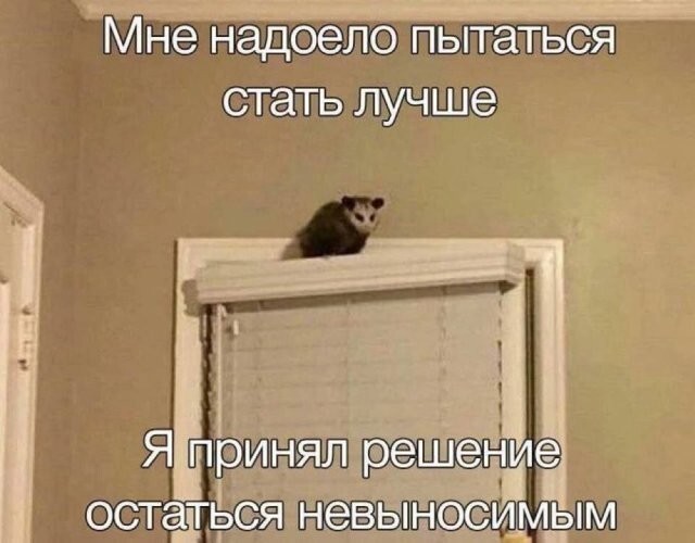 Скрины из соцсетей