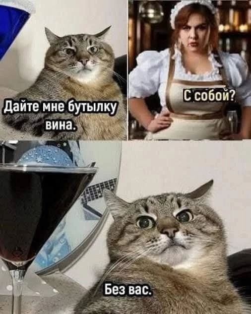 Скрины из соцсетей