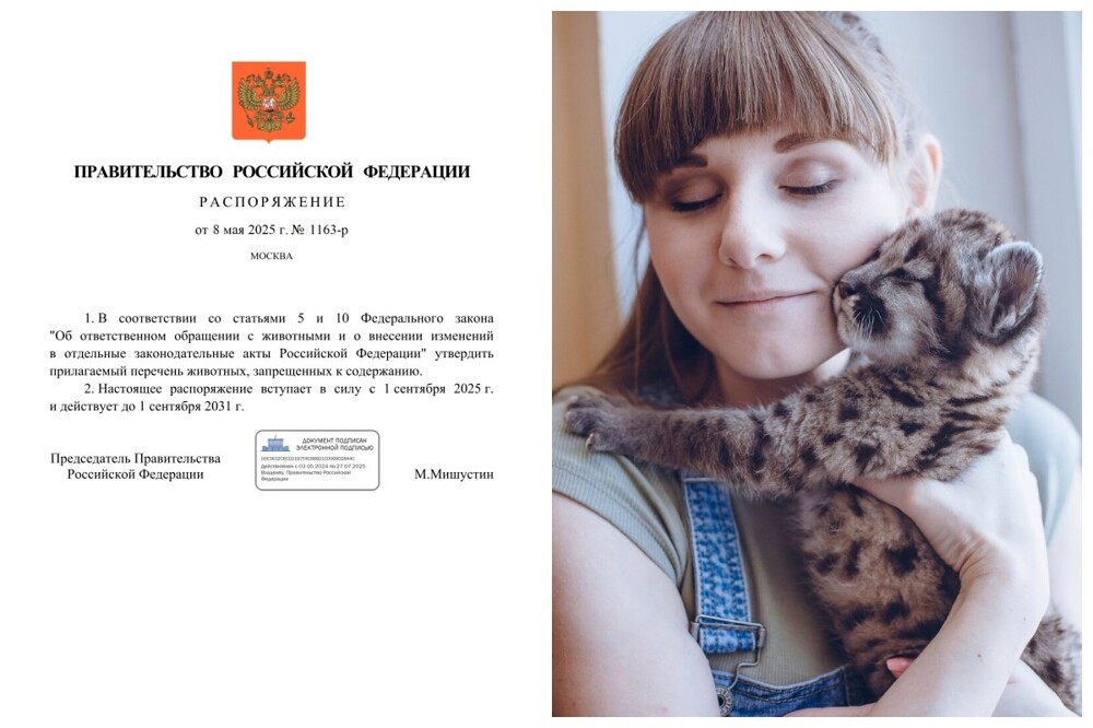Крокодилы, бегемоты: в России утвердили перечень животных, которых запрещено содержать в домашних условиях