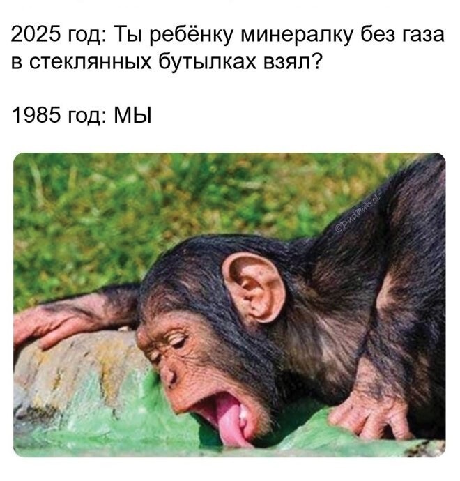 Не ищите здесь смысл. Здесь в основном маразм