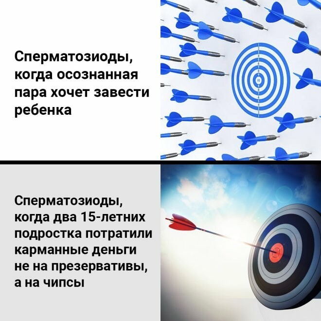 Не ищите здесь смысл. Здесь в основном маразм