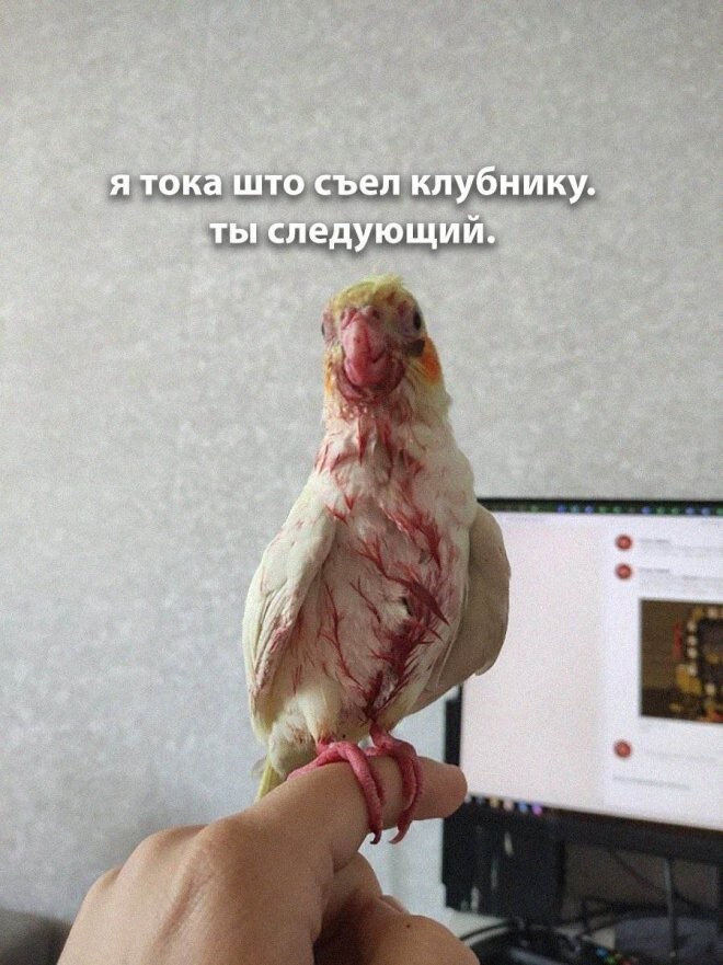 Не ищите здесь смысл. Здесь в основном маразм