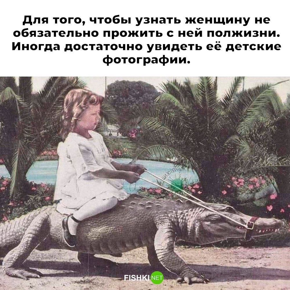 Не ищите здесь смысл. Здесь в основном маразм