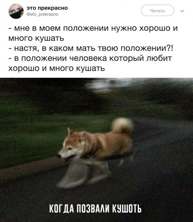 Скрины из соцсетей