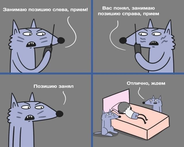 Скрины из соцсетей