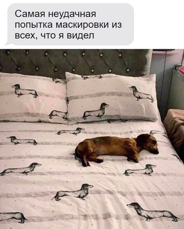 Скрины из соцсетей