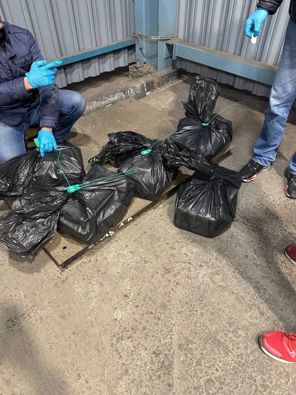 В петербургском порту таможенники обнаружили кокаин на полмиллиарда рублей