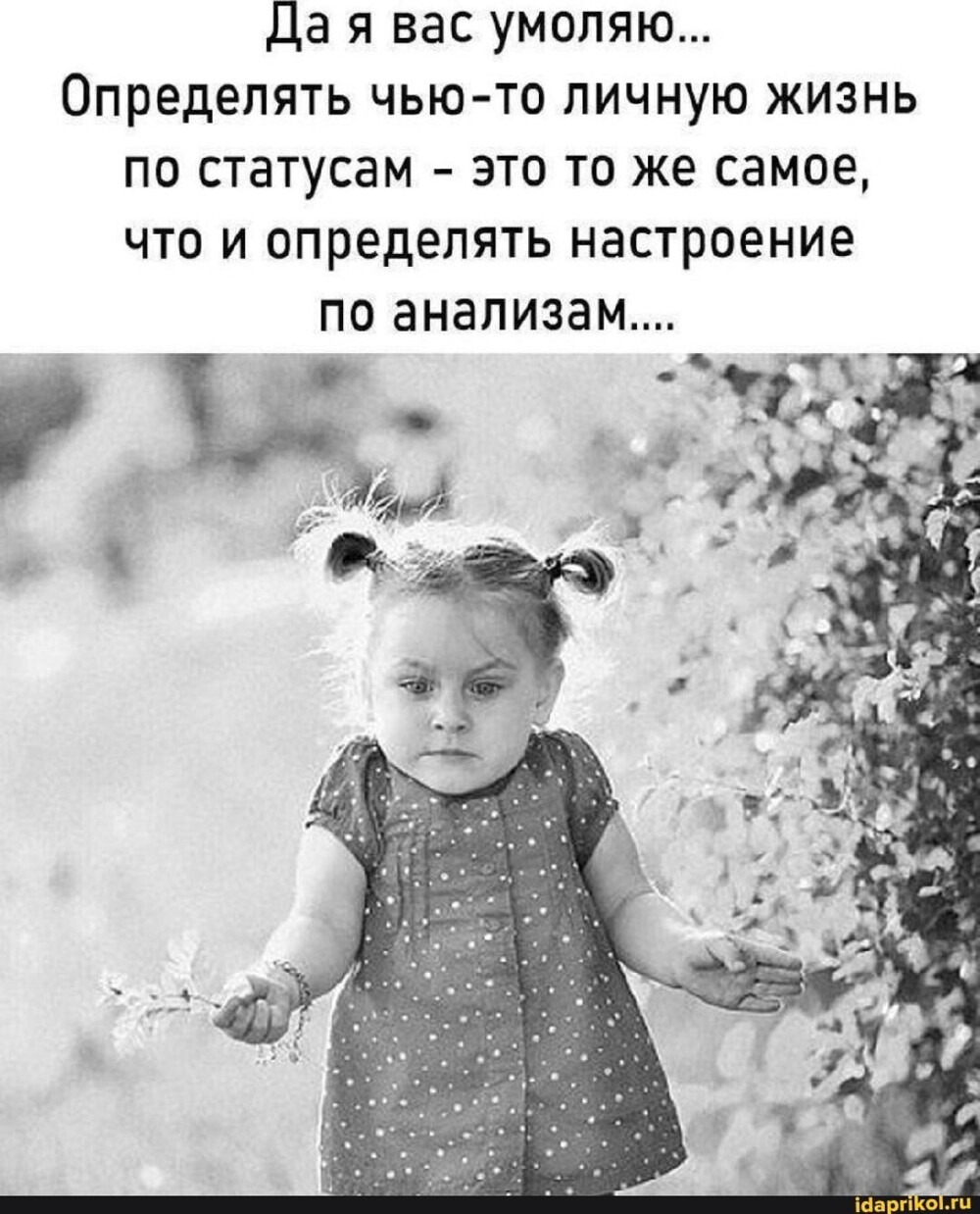 Большая тарелка улыбатора