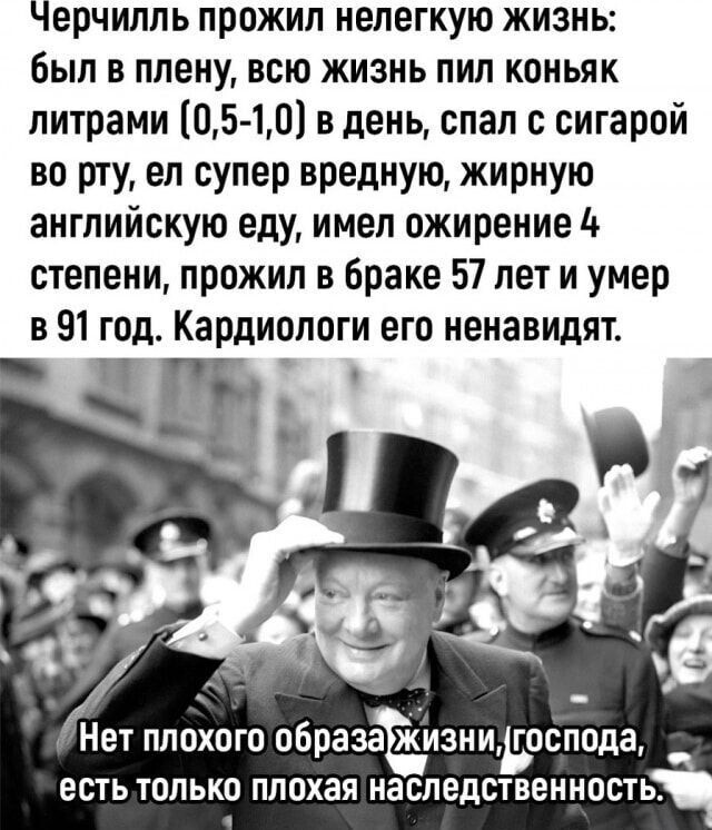 Большая тарелка улыбатора