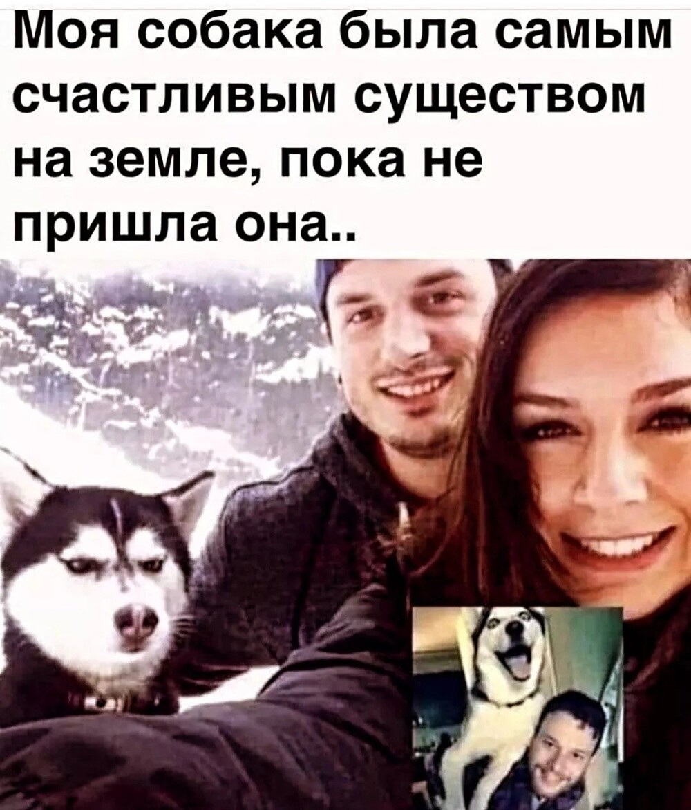 Большая тарелка улыбатора