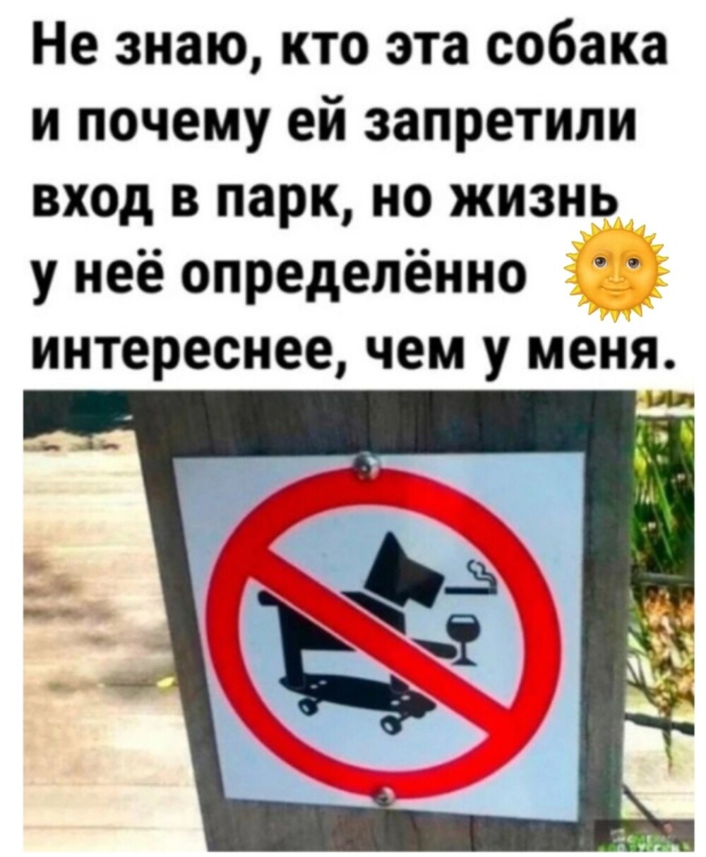 Большая тарелка улыбатора