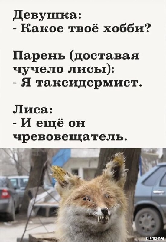 Солянка