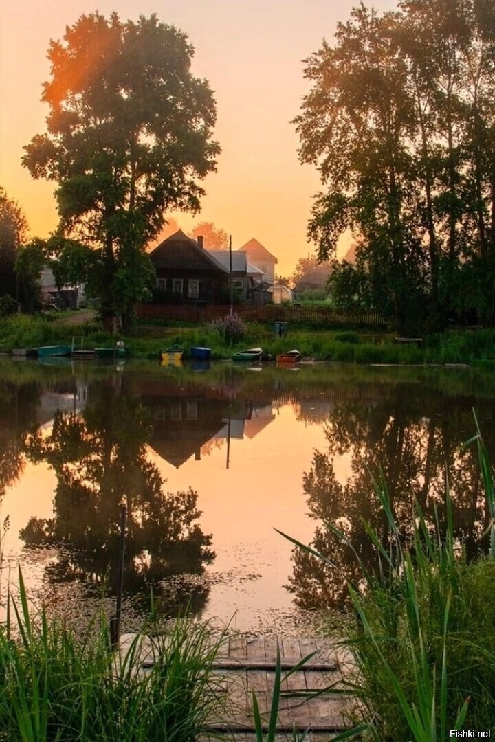 Фотовинегрет-11