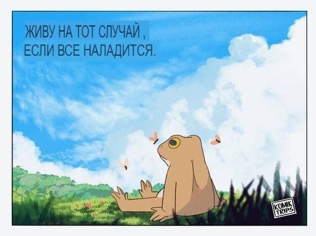 Скрины из соцсетей
