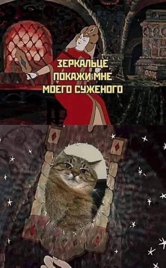 Скрины из соцсетей