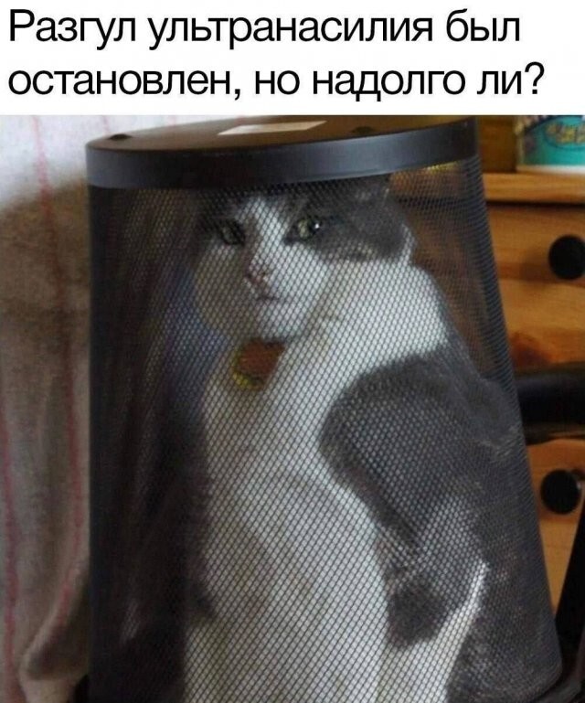Скрины из соцсетей