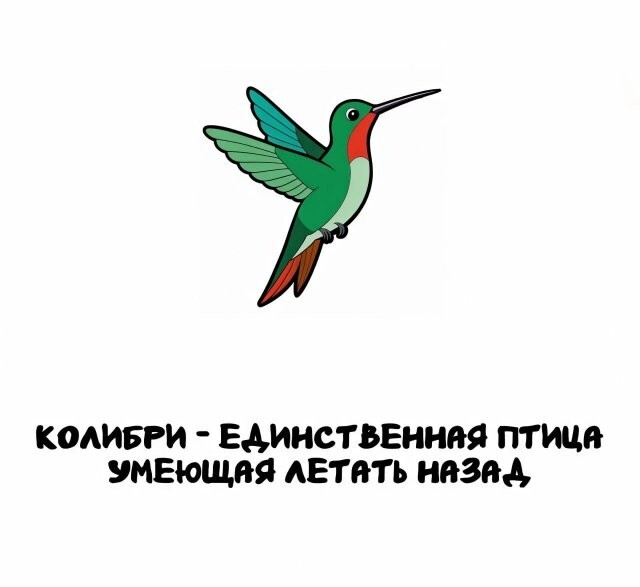 А вдруг ты не знал…