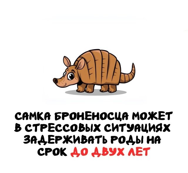 А вдруг ты не знал…