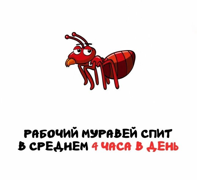 А вдруг ты не знал…
