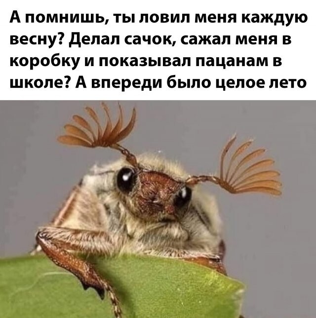 Намешалось