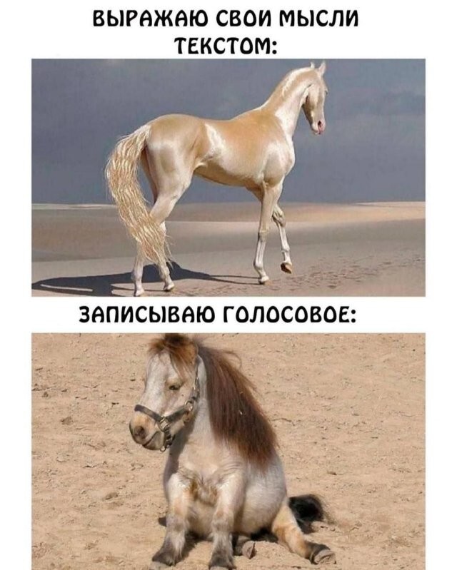 Не ищите здесь смысл. Здесь в основном маразм