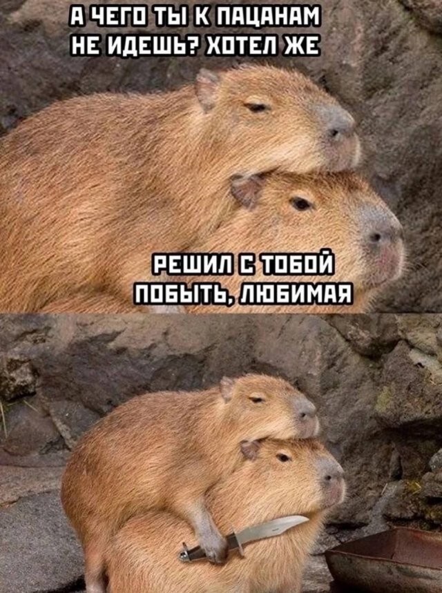 Не ищите здесь смысл. Здесь в основном маразм