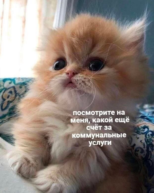Не ищите здесь смысл. Здесь в основном маразм
