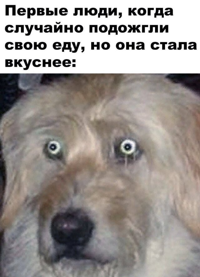 Не ищите здесь смысл. Здесь в основном маразм